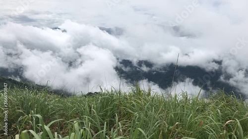 grass in the mountains