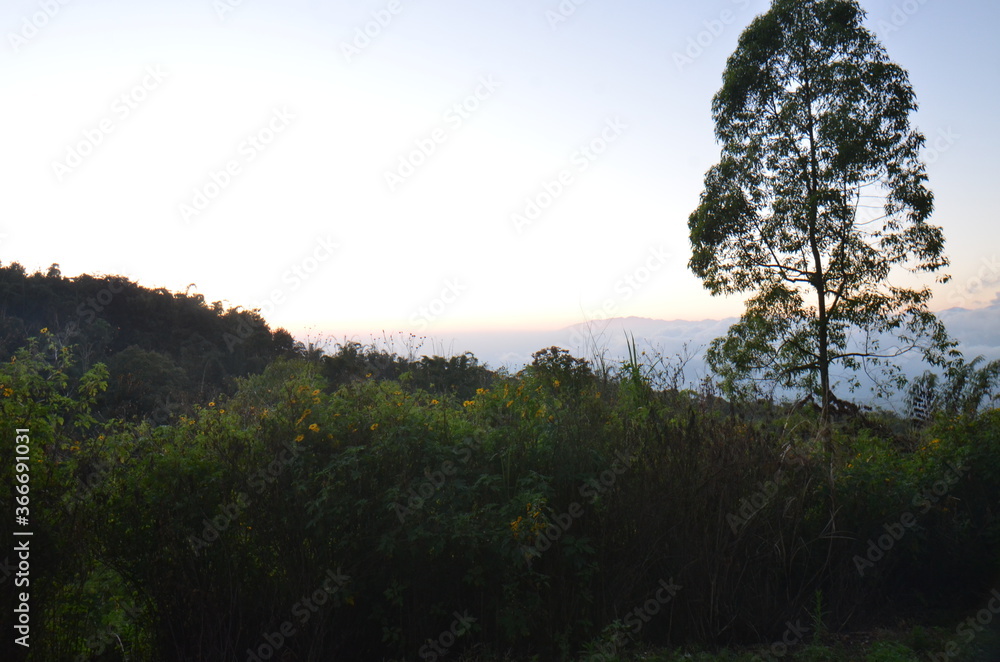 beautiful sunrise landscape in the mountain arjuna