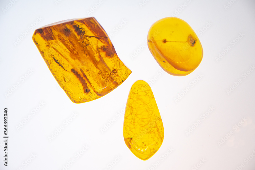 Beautiful group of big pieces of drops of amber exhibited in Palanga Amber Museum in Lithuania, close up with white background Beautiful group of big pieces of drops of amber exhibited in Palanga Amber Museum in Lithuania, close up with white background
