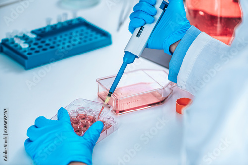 Photos Biotechnology Researcher in Laboratory Working with Cell Culture