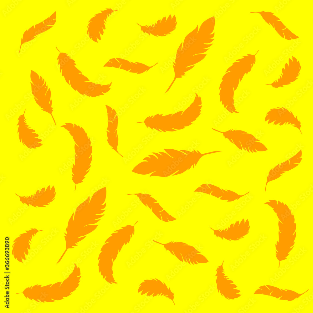 feathers background feathers background