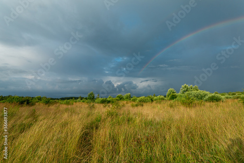 August field with heavy dark clouds after the rain. Horizontal image. 