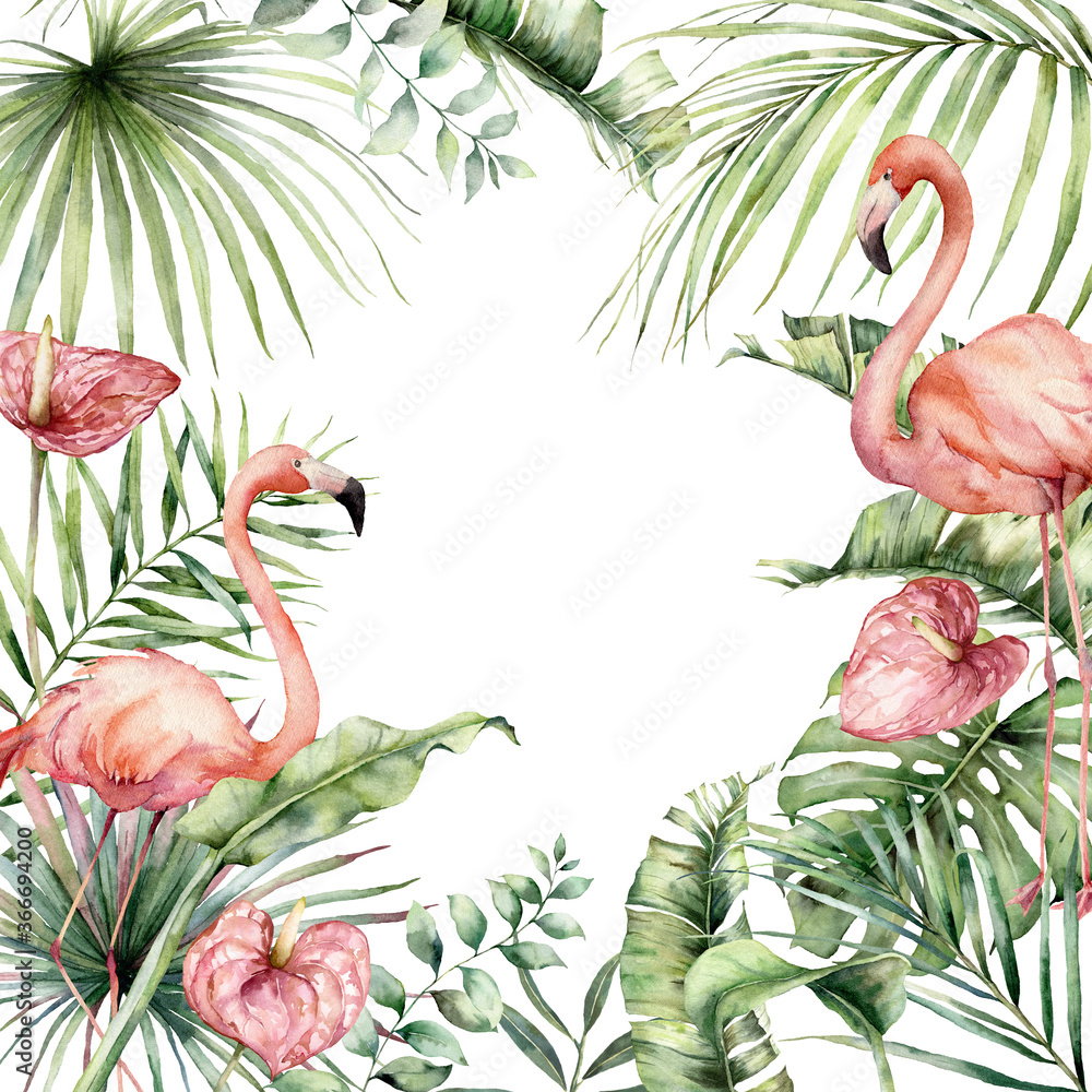 Watercolor tropical card with pink flamingo, anthurium and monstera. Hand painted birds, flowers and jungle palm leaves. Floral illustration isolated on white background for design, print, background.