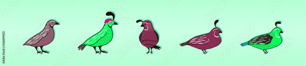 Fototapeta premium a set of quail vector illustration