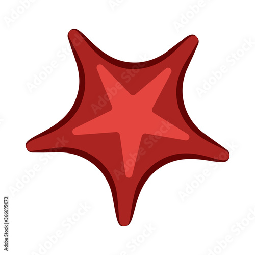 Big red starfish illustration.Mollusc  ocean  seafood. Nature concept. illustration can be used for topics like sea animals  sea  restaurant  eating