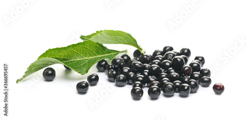Elderberries, danewort, dwarf elder, walewort berries with green leaves, isolated on white background