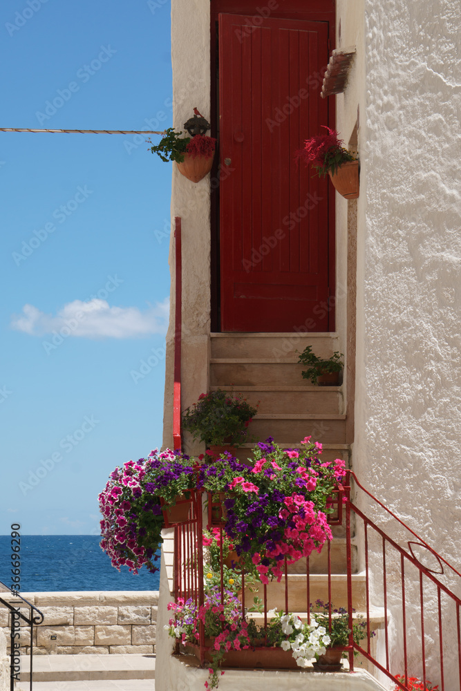 Finestre