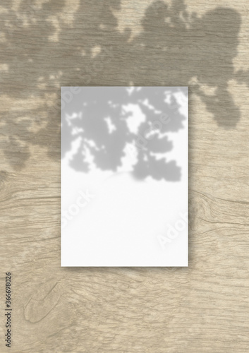 The vertical sheet of white textured A4 paper on the wooden table background. Mockup overlay with the plant shadows. Natural light casts shadows from the oak leaves