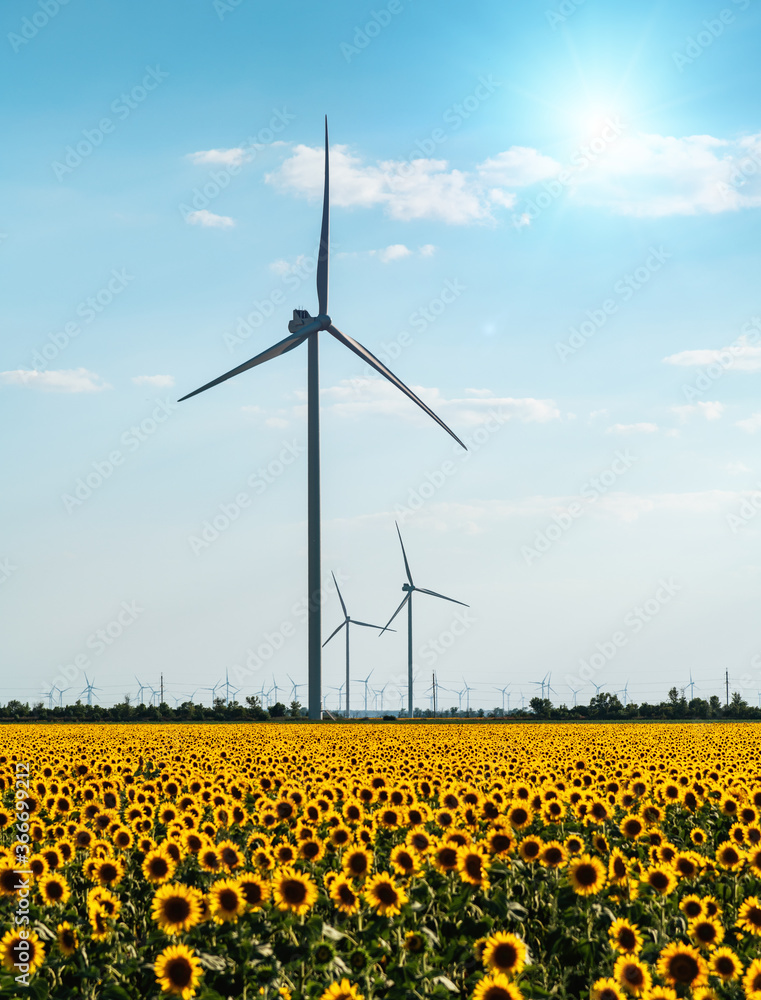 Wind farm in Europe