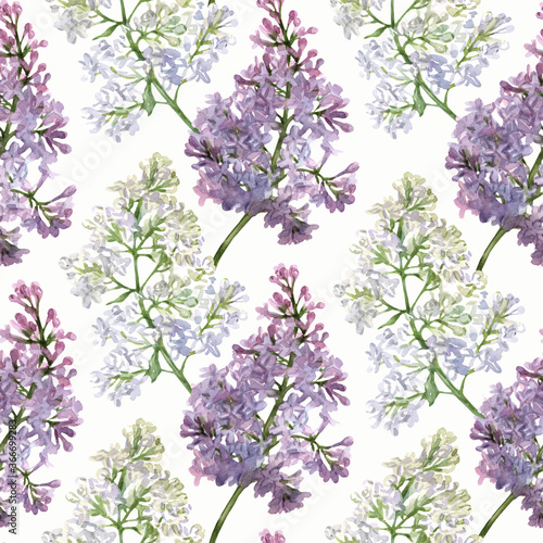 Watercolor seamless pattern with lilac flowers on wnite background. Botanical print for fabric, design, wallpaper, wrapping paper.