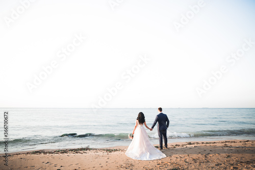 Elegant stylish happy wedding couple  bride  gorgeous groom on the background of sea and sky