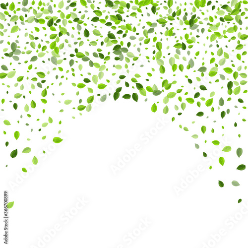 Mint Foliage Transparent Vector Concept. Falling 