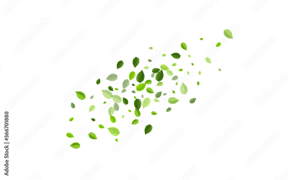 Swamp Foliage Fresh Vector Wallpaper. Tree Greens Swamp Foliage Fresh Vector Wallpaper. Tree Greens