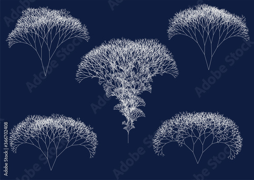 set of computer generated irregular white fractal trees on dark blue background illustrating big data flow photo