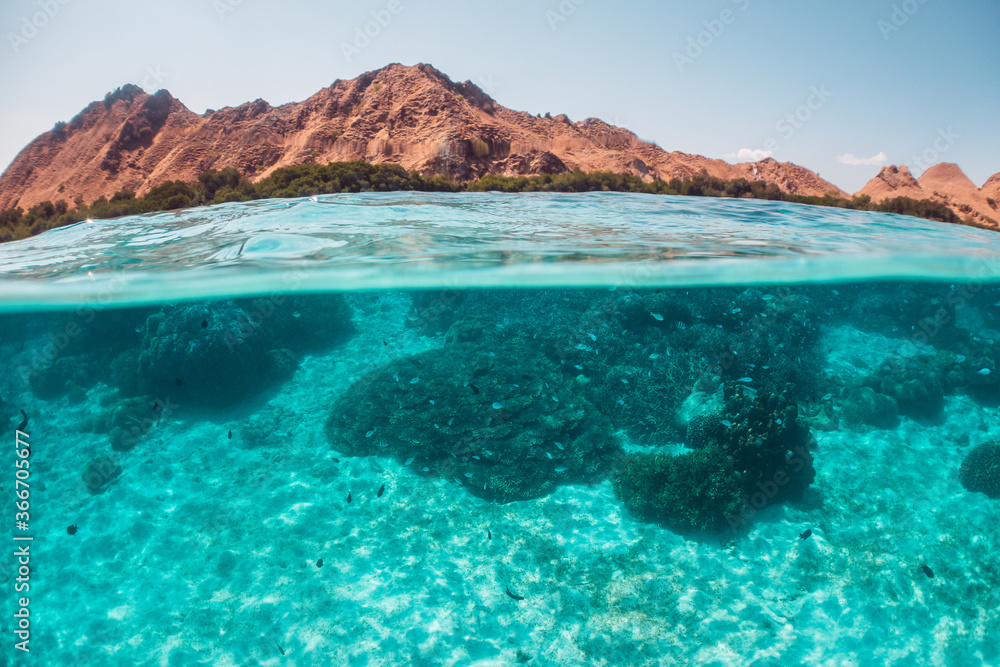Coral reef split shot, over/under shot of coral reef and island above the surface Coral reef split shot, over/under shot of coral reef and island above the surface