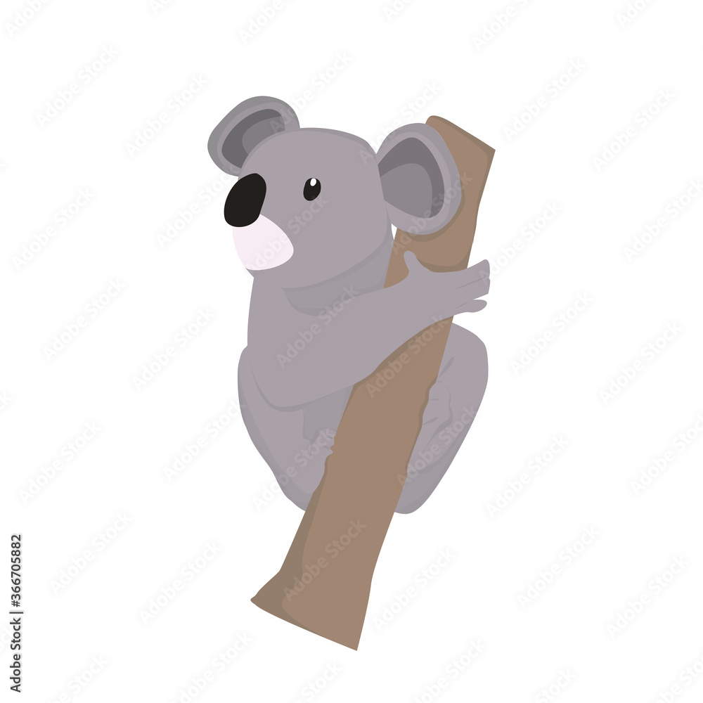 Fototapeta premium Koala Illustration