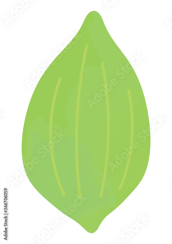 アチョクチャのイラスト