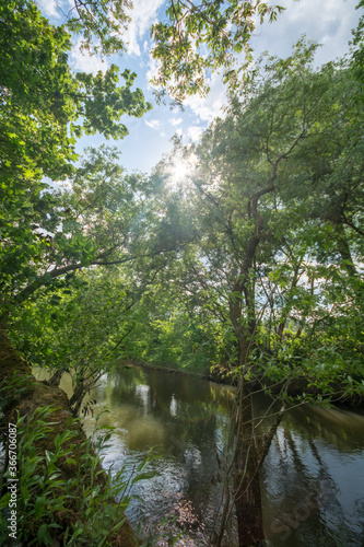 Pegnitz bei Schwaig b. Nürnberg © bwpreiss