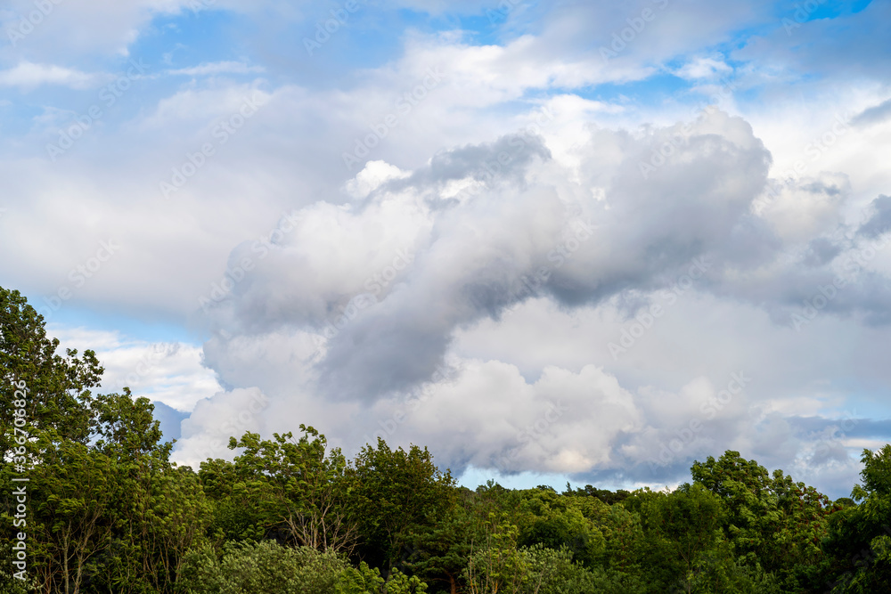 Storm clouds over forest on island of Gotland in Sweden