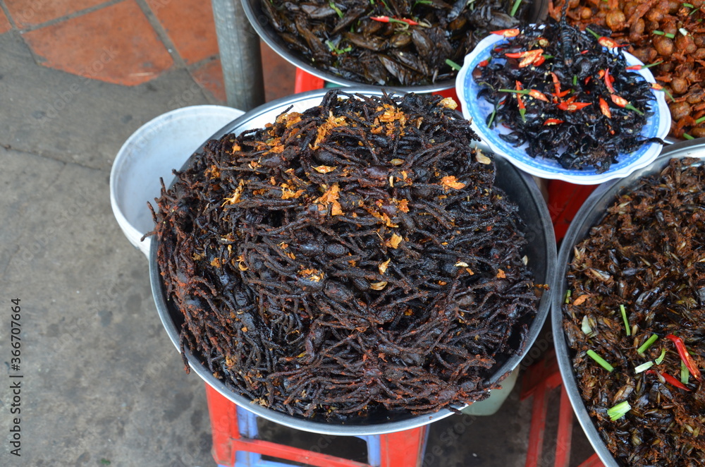 Fototapeta premium Plate with tasty and well seasoned deep fried spiders.