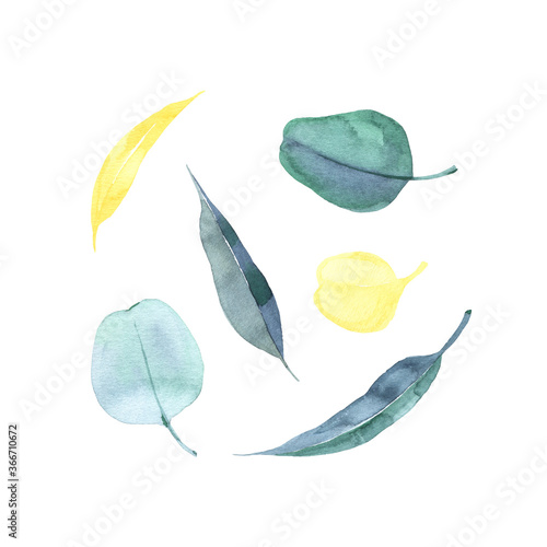 Designer elements set collection of greeng leaves herbs in watercolor style.