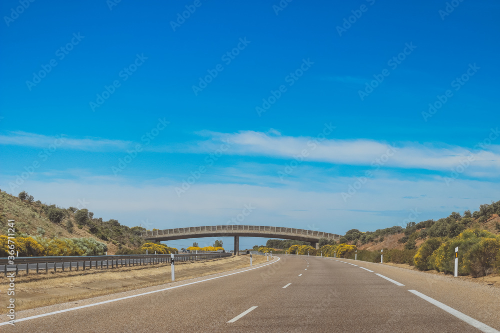 Fototapeta premium wooden bridge on the track