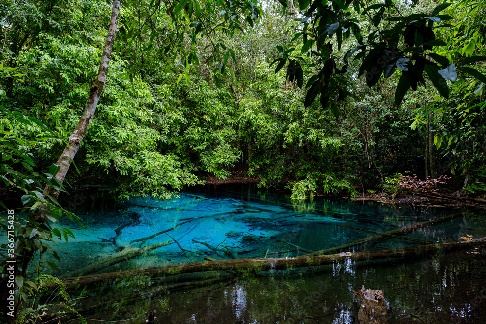 Obraz premium Blue or emerald pool in National park Sa Morakot, Krabi, Thailand.