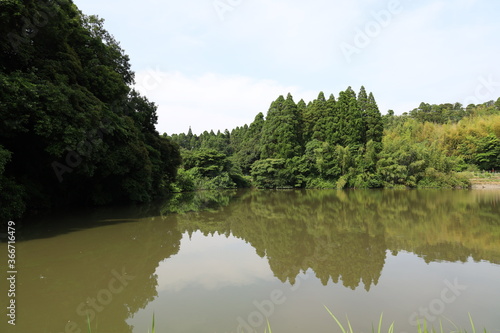 野池