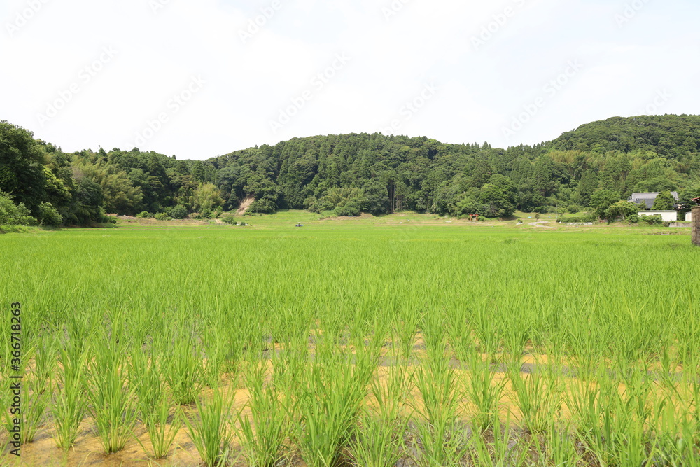 田園風景