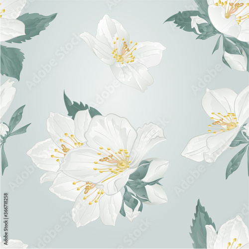Seamless texture jasmine flowers and buds twigs   on a blue background  vintage watercolor vector illustration  editable hand draw