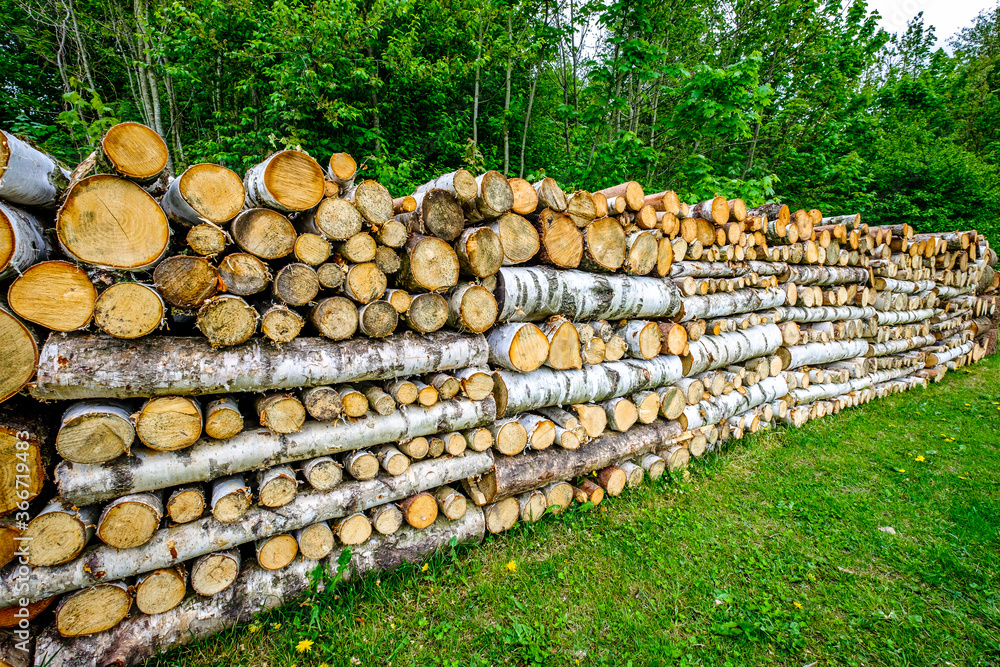 heap of firewood