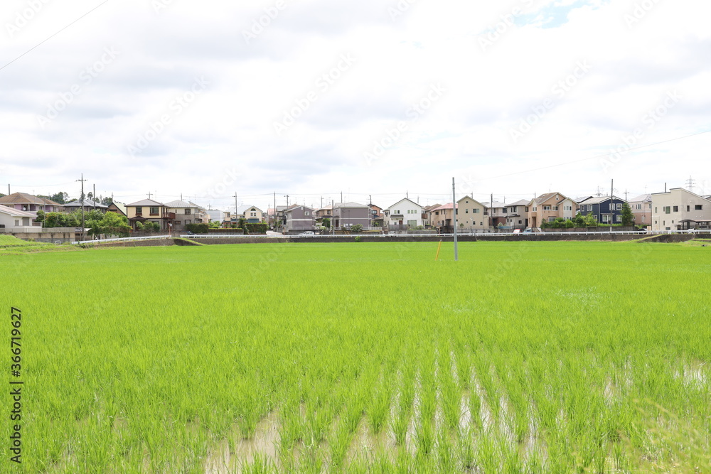 田園風景 田園風景