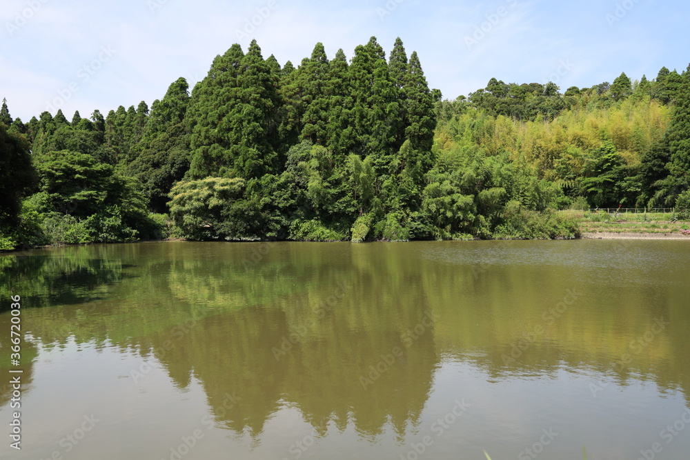 Fototapeta premium 池