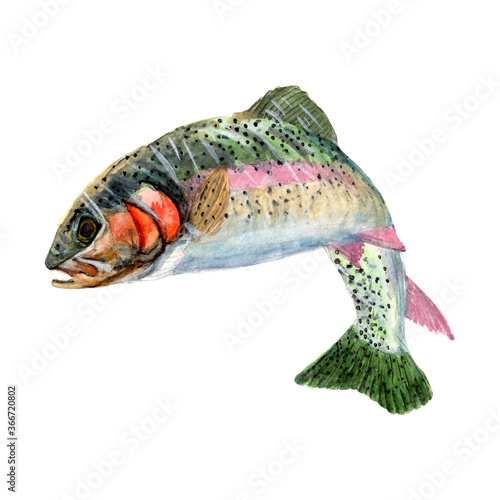 Canvas Print Marine Fish Watercolor painting isolated