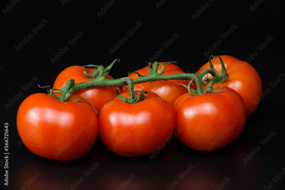 Eine Rispe mit frischen saftig roten Tomaten (Rote Rispentomaten) auf dunklem schwarzen Hintergrund