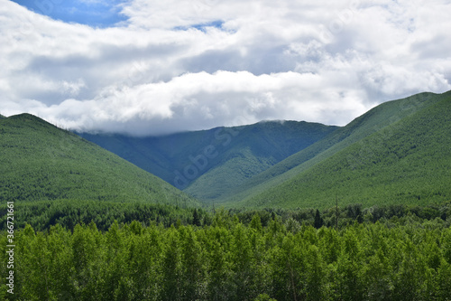 Green hills with dense forest. Low gray-white clouds. The Sikhote-Alin mountains. 