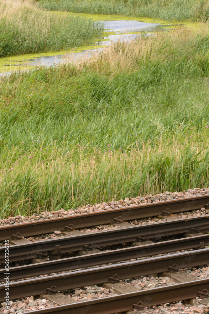 Nature thriving in the natural environment alongside train tracks demonstrating that man and nature can live together comfortably with careful planning. Wild flowers flourish here in the summer. Nature thriving in the natural environment alongside train tracks demonstrating that man and nature can live together comfortably with careful planning. Wild flowers flourish here in the summer.