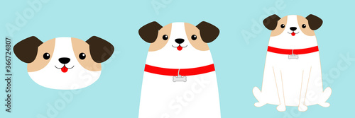 Cute dog set. Face, body, sitting puppy. Red collar. White pooch. Cute cartoon kawaii funny baby character. Flat design style. Help homeless animal concept. Adopt me. Pet adoption. Blue background.