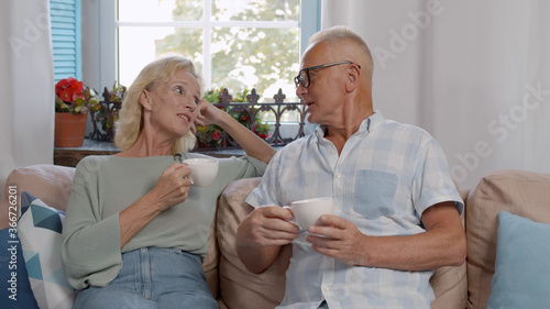 Portrait of a happy elderly couple relaxing together on the sofa at home