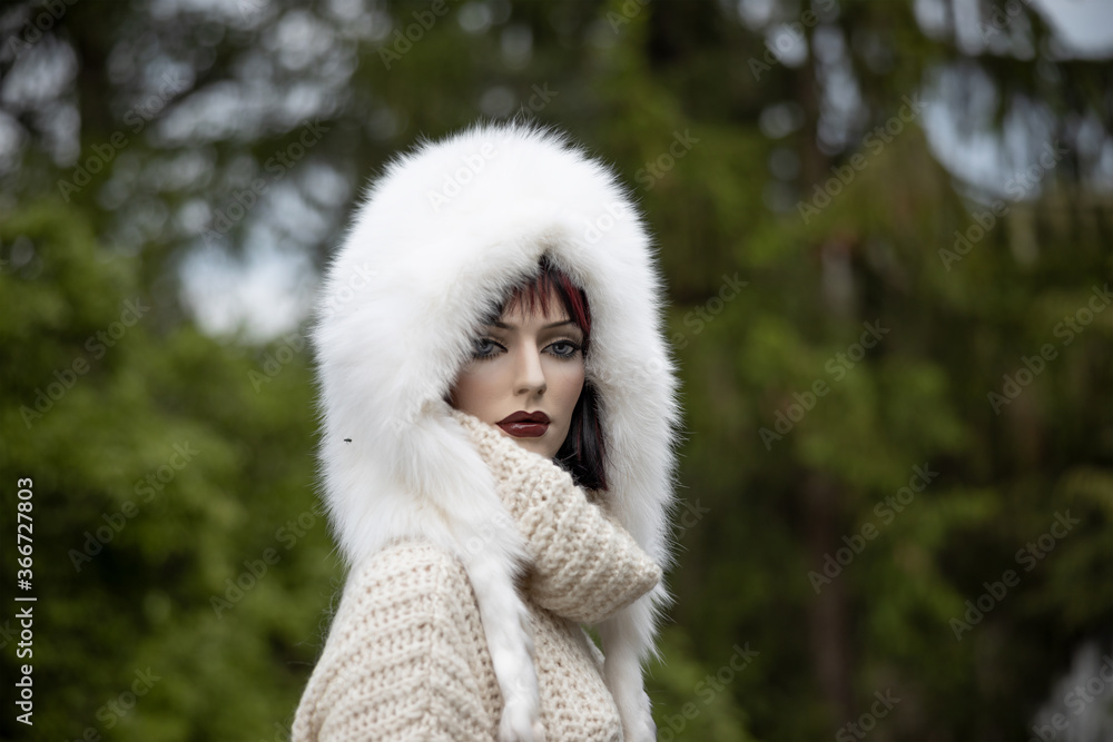 Snowqueen IV Snowqueen IV