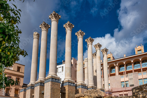 Remaining columns of the Roman temple, templo romano of Cordoba, Spain photo