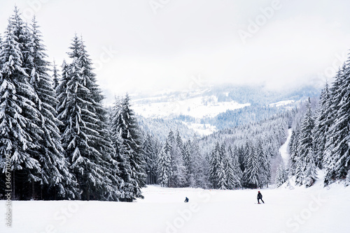 Fototapeta Naklejka Na Ścianę i Meble -  Winter in Beskidy mountains near Pilsko, Babia Gora and Hala Miziowa in Beskid Zywiecki, Poland. Beskid Zywiecki is a part of Carpathian mountains.