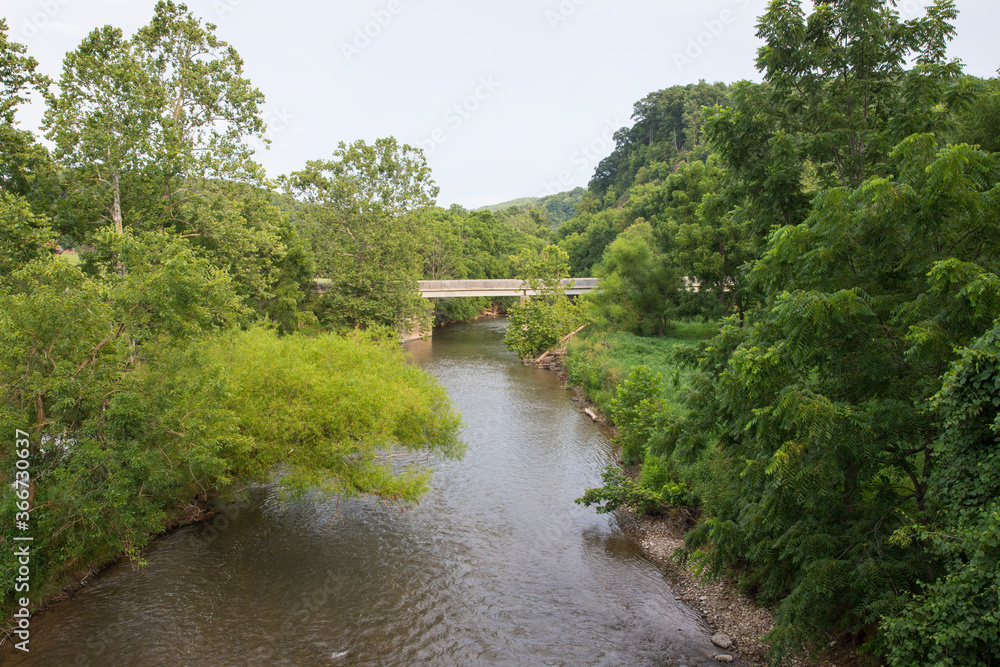 A view of a creek lined with trees. A concrete bridge is visible in the distance.