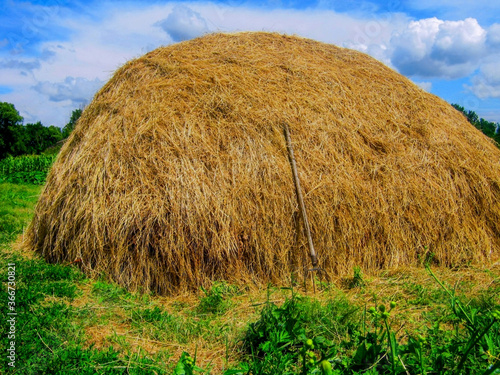 Valokuvatapetti Hay stack or haystack & hayforks for horse feed on blue sky background