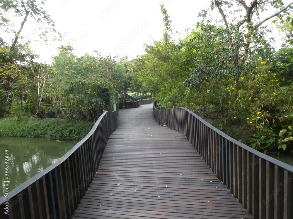 Obraz premium Trees and walkways