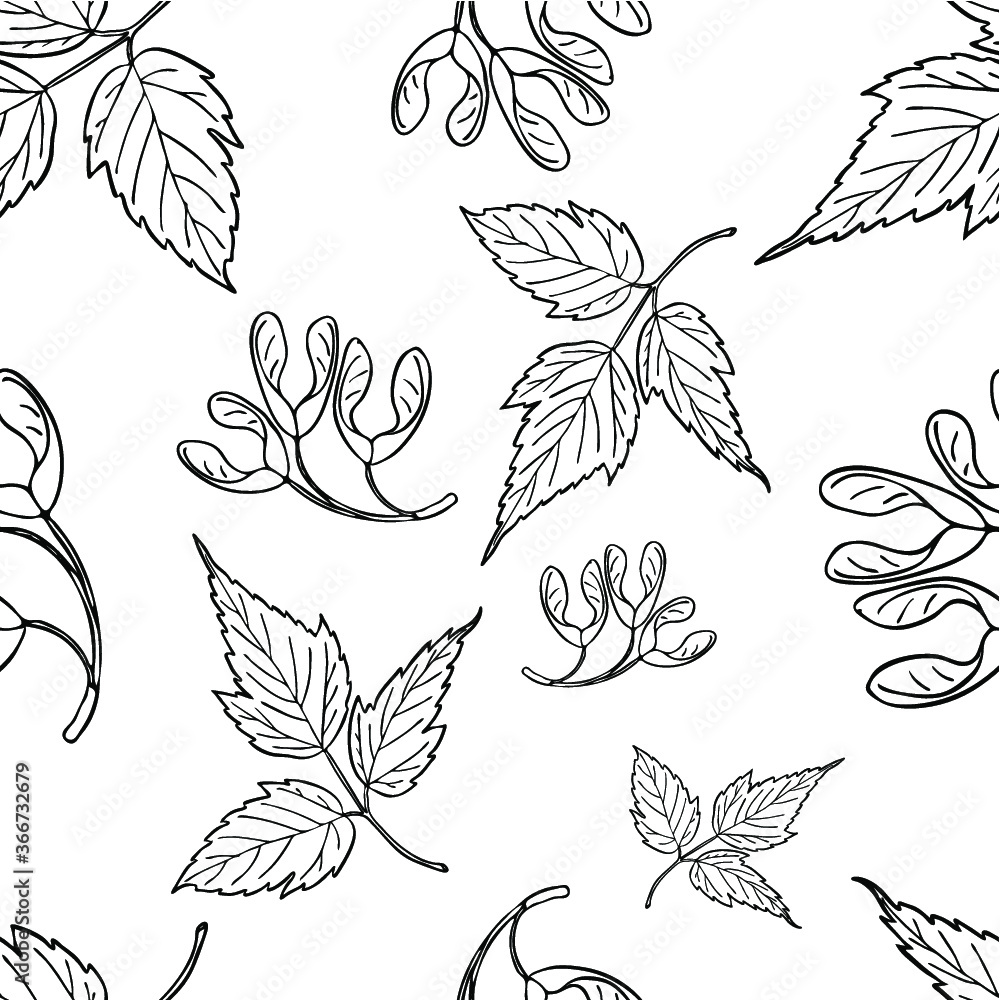 Fototapeta premium Seamless pattern with hand drawn leaves. Fashion, interior, wrapping, packaging suitable. Repeat graphic design of black and white maple leaf isolated on white