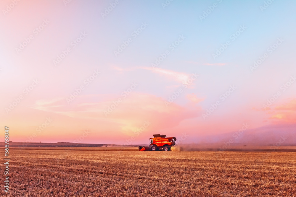 Harvesting of grain crops in the field, a bright summer landscape with a combine harvester. Selective focus. Harvesting of grain crops in the field, a bright summer landscape with a combine harvester. Selective focus.