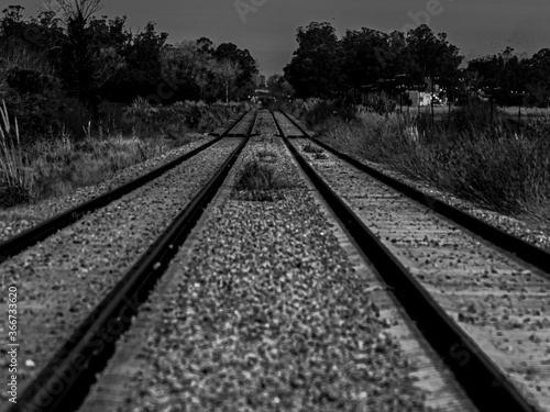 railroad tracks in the morning