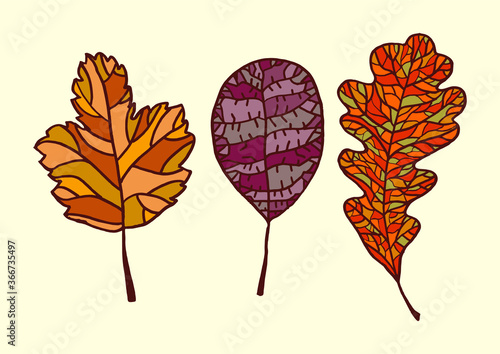 autumn leaves autumn background vector