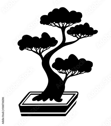 The ancient art of pruning trees  - bonsai. 
Silhouette of a small tree in a rectangular bowl.